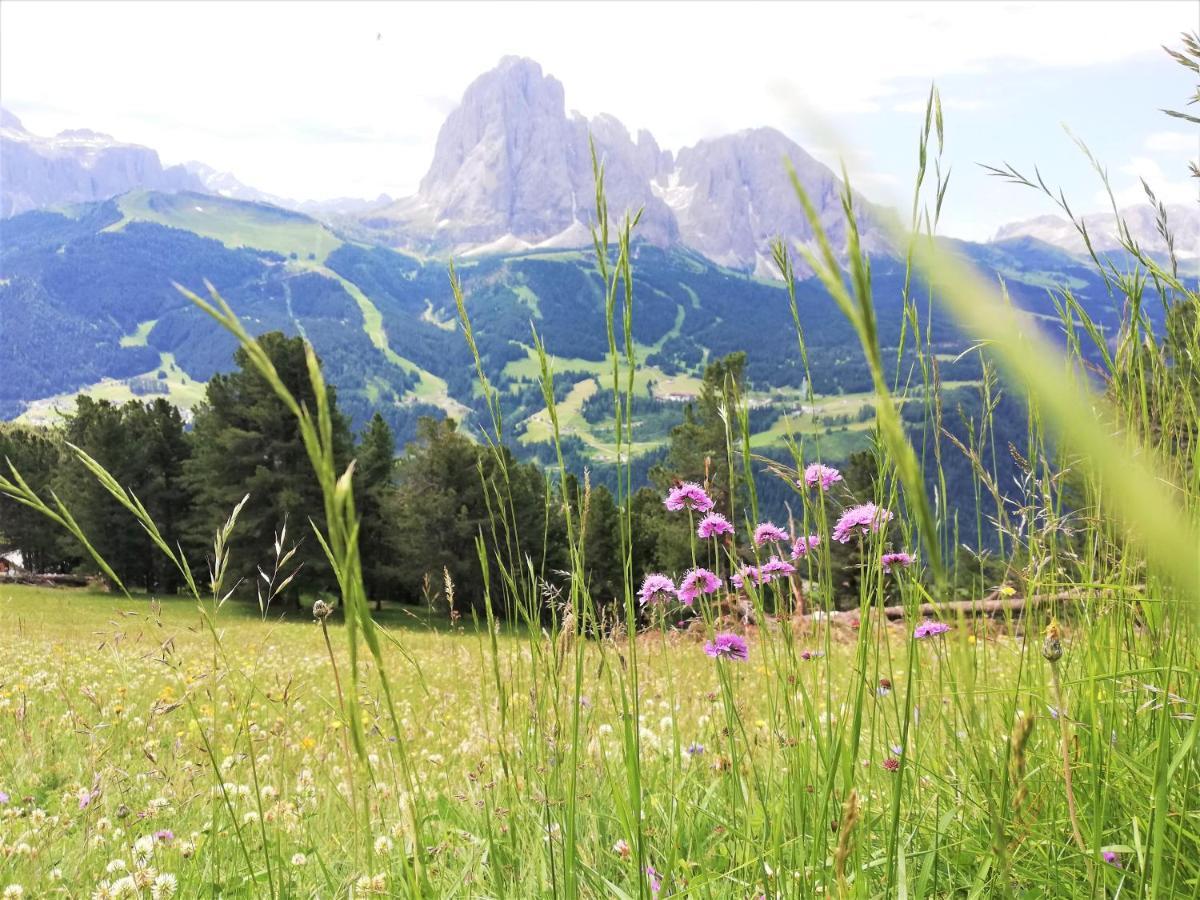 Hotel Oswald Selva di Val Gardena Exterior photo